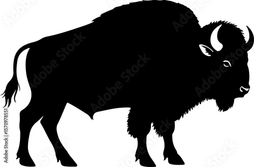 Black silhouette of a standing american bison or buffalo isolated on a white background