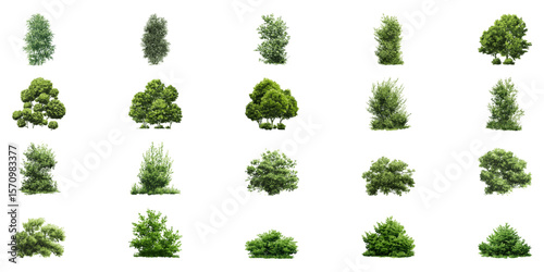 Green Trees And Shrubs Digital Vector Illustration Set. Landscape Architecture And Eco-Friendly Urban Planning Collection. Isolated Vector Illustration