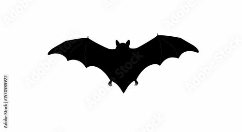 halloween bat vector
