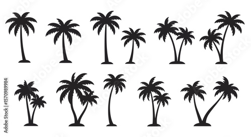 palm trees silhouettes