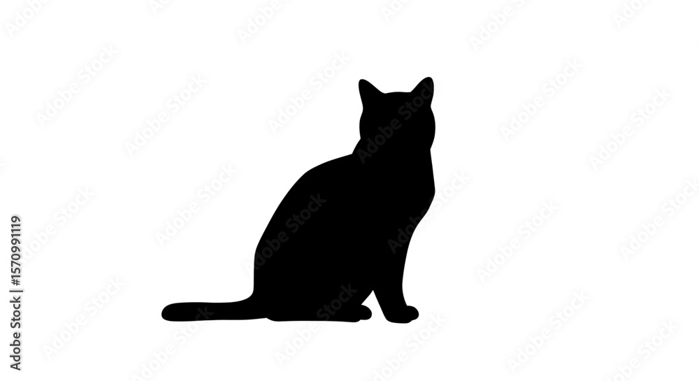 Obraz premium black cat silhouette