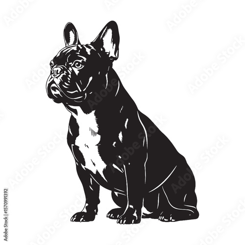 View a pure French Bulldog digital black form, clean, distinct graphic - French Bulldog silhouette - French Bulldog Vector - Silhouette of French Bulldog - dog vector

