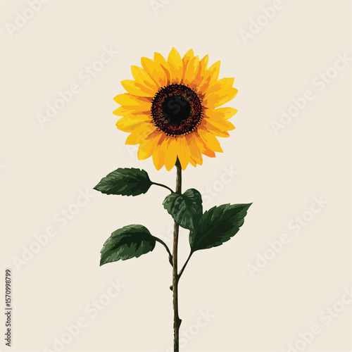 sunflower isolated in White Background, sunflower vector, Flat lay vector illustration