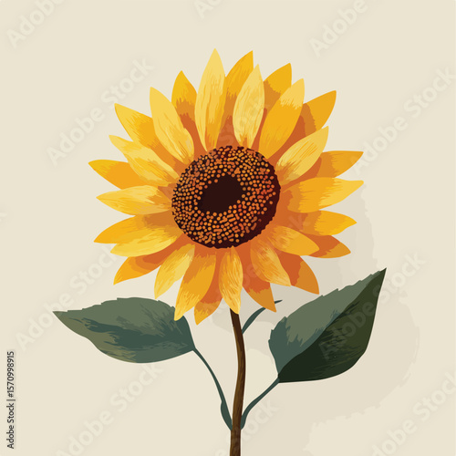 sunflower isolated in White Background, sunflower vector, Flat lay vector illustration