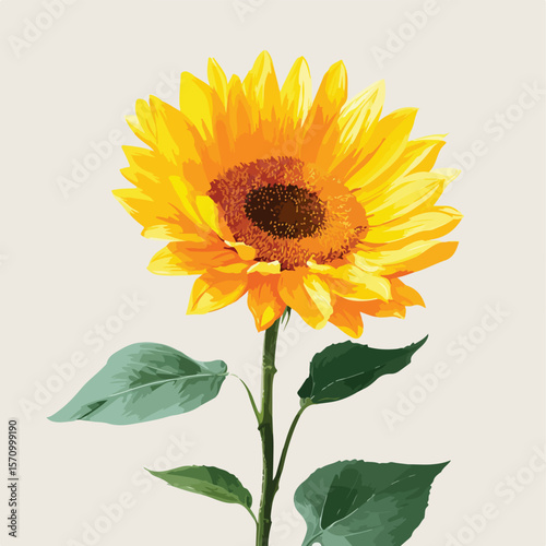 sunflower isolated in White Background, sunflower vector, Flat lay vector illustration