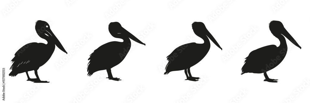 Fototapeta premium Pelican Silhouettes In Solid Icon Set. Birdwatching And Wildlife Observation Symbol Collection. Ornithology And Educational Use. Isolated Vector Illustration