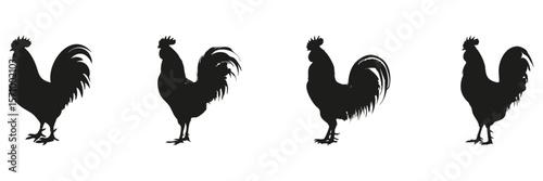 Rooster Silhouettes In Solid Icon Set. Farm Animal And Rural Life Symbol Collection. Agricultural And Educational Use. Isolated Vector Illustration
