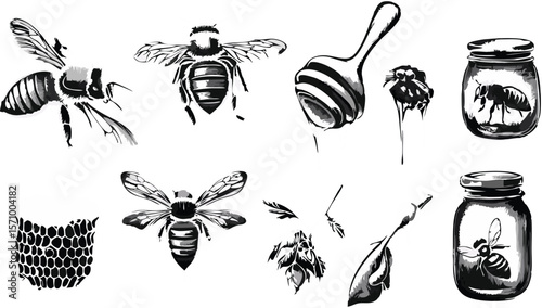 Black and White Honey Bee Illustration with Honeycomb and Jars
