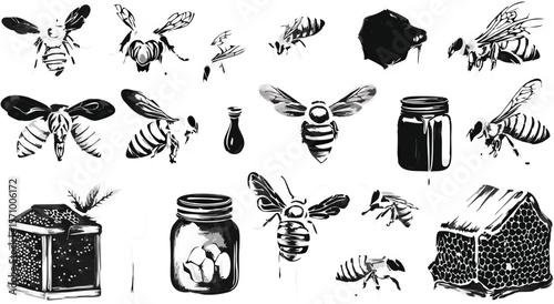 Black and White Bee and Honey Illustration with Jars and Honeycomb