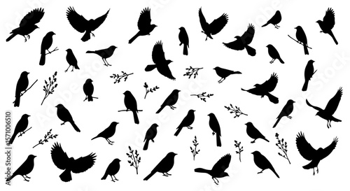 Birds silhouettes in flight and perched, set against a clean white background with leafy twigs in a wildlife montage.