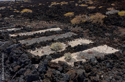 Guanche maceration pits with cemented base