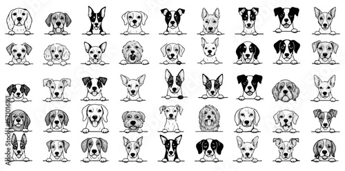 Adorable assortment of dog breeds depicted in minimalist monochrome line art showcase different puppy faces and expressions, silhouette