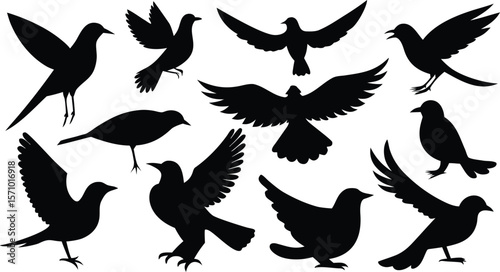 Collection of black bird silhouettes in various flying and perching poses