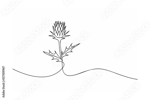 Spiky thistle plant with leaves and wavy stem flower