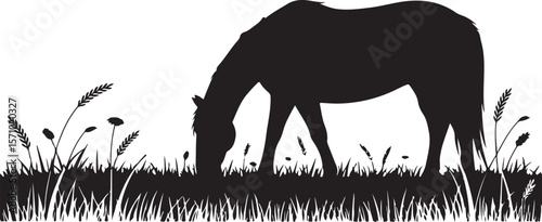 Farm Animal in Nature: Horse Eating Grass Vector