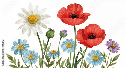 Watercolor illustration of a variety of flowers including daisies and poppies on a white background