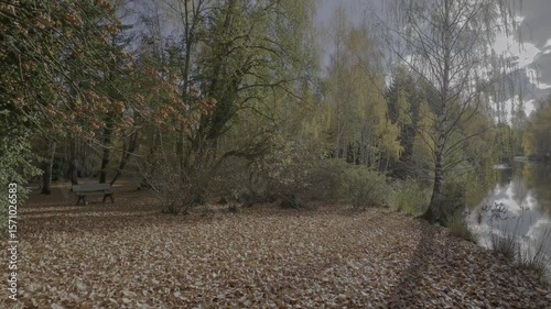 Tranquil autumn park scene with a bench facing a reflective lake, ideal for nature, relaxation, mindfulness, and seasonal themes.
