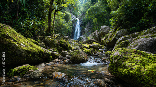 Serene Waterfall in Lush Forest: A hidden waterfall cascades down moss-covered rocks in a vibrant rainforest, creating a tranquil and picturesque scene.