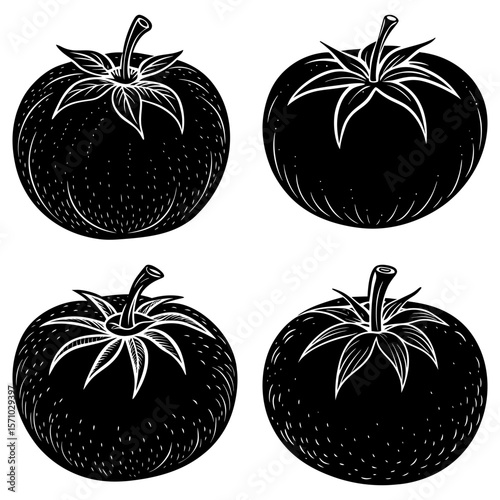 Four black and white tomatoes with stems and leaves in an artistic monochrome vector illustration style