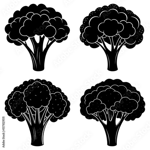 Four broccoli florets in black and white vector illustration with detailed cloud like crowns and thick stems