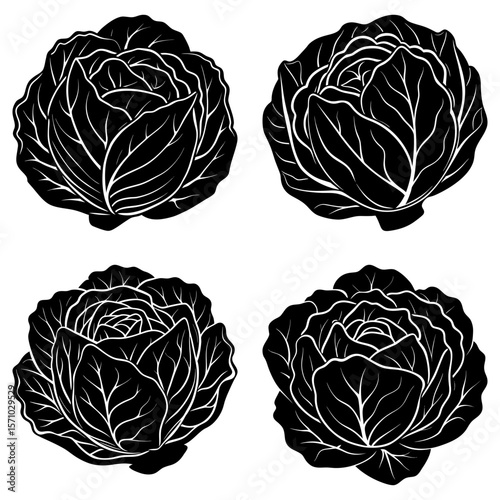 Four black and white cabbages with detailed leaf patterns arranged in a square formation on white background