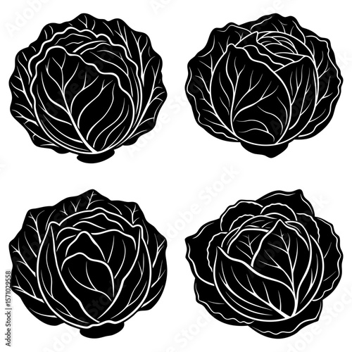 Four black and white cabbages arranged in a square pattern on a white background illustration style