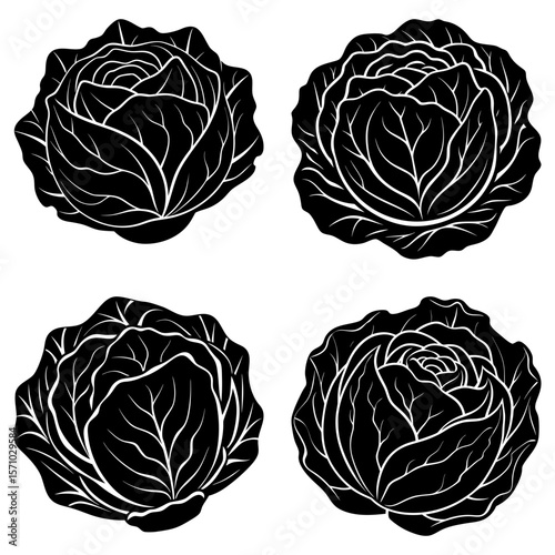 Four black and white cabbage heads with detailed leaf patterns arranged on a white background design