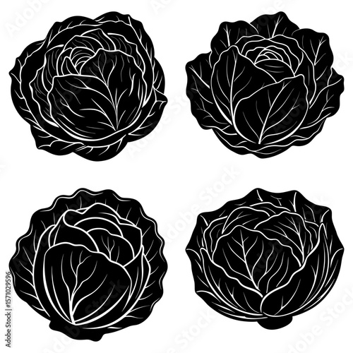 Four black and white cabbage heads with detailed leaf patterns arranged in a square formation on white
