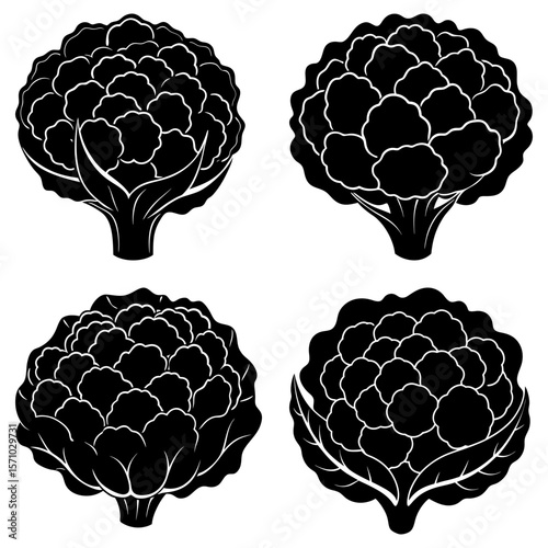Four cauliflower heads in black and white showing detailed florets and stems in a simple arrangement