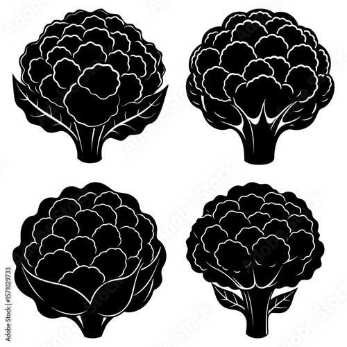 Four black and white cauliflower heads with detailed florets and leaves on a white background design illustration