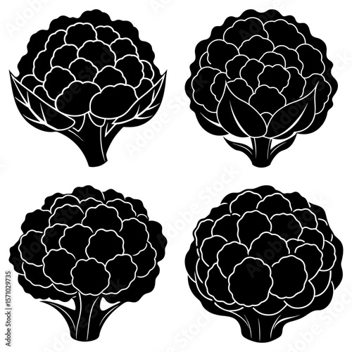 Four stylized black and white cauliflower heads with detailed florets and leafy bases design element
