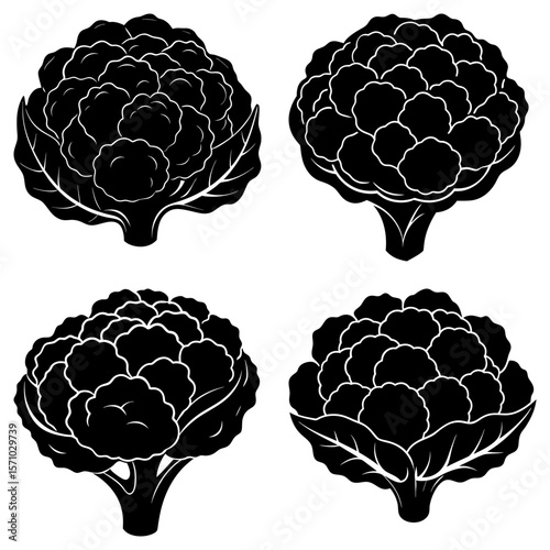 Four cauliflower heads in black and white with detailed florets and leaf patterns in a vector format