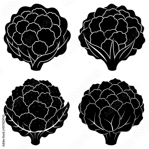 Four cauliflower heads in black and white with detailed florets and leaves on a white background design