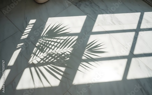 shadow overlay effects of realistic window and monstera leaf shadow isolated 