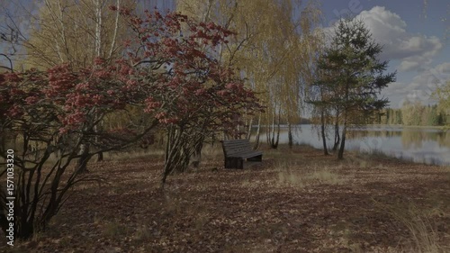 Picturesque autumn park with colorful trees, fallen leaves, and a bench near a lake, suitable stock footage for seasonal, relaxation, and nature themes.
