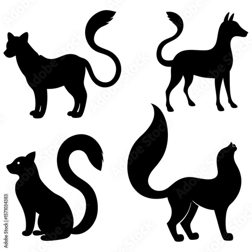 Photography black cat silhouettes