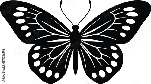  peacock butterfly silhouette vector illustration