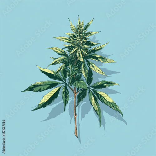 weed isolated in White Background, weed vector, Flat lay vector illustration