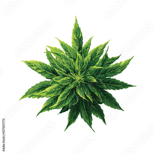 weed isolated in White Background, weed vector, Flat lay vector illustration