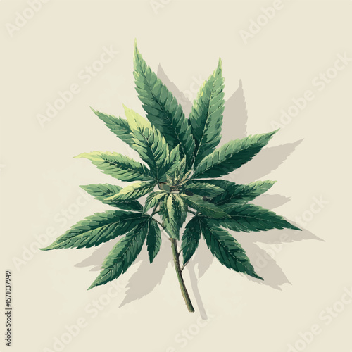 weed isolated in White Background, weed vector, Flat lay vector illustration
