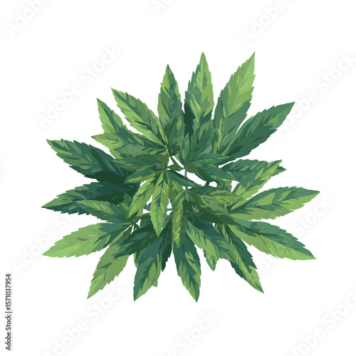 weed isolated in White Background, weed vector, Flat lay vector illustration
