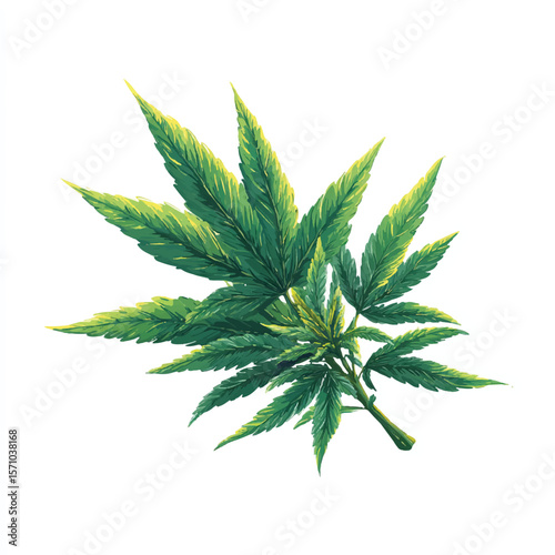 weed isolated in White Background, weed vector, Flat lay vector illustration
