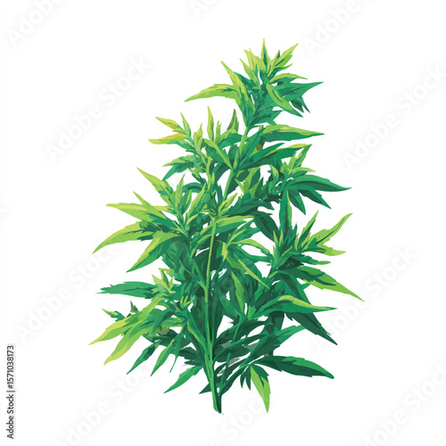 weed isolated in White Background, weed vector, Flat lay vector illustration