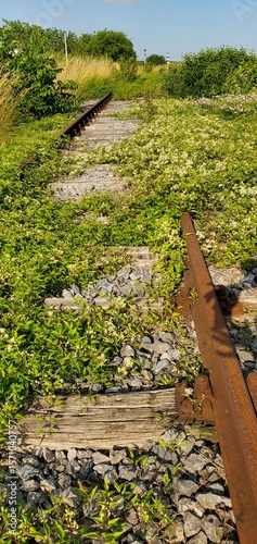 Aufgegebenes Eisenbahngleis photo