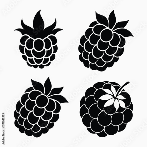 Four stylized black raspberry silhouettes with leaves and stems isolated on a transparent background for design isolated on transparent background