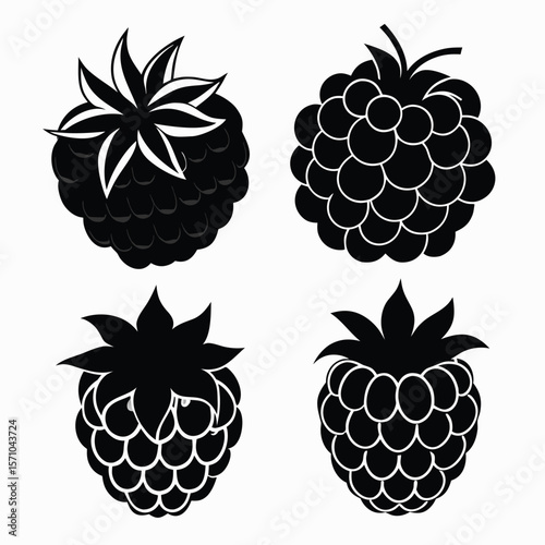 Four stylized black raspberry silhouettes with leaves and stems isolated on a transparent background for design isolated on transparent background