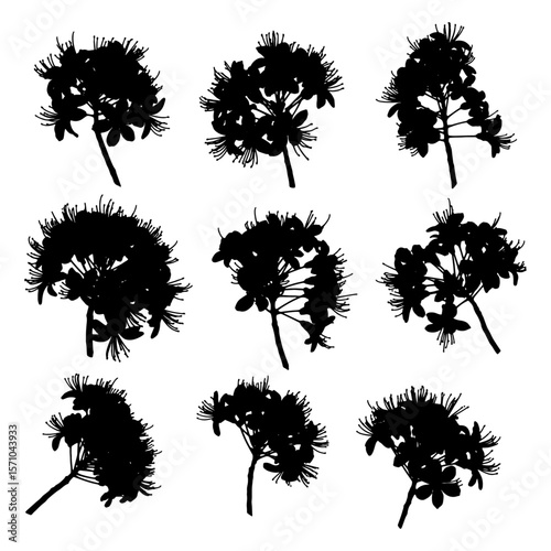 A collection of black flower cluster silhouettes, showcasing dense blooms and intricate floral arrangements, ideal for botanical, garden, and decorative nature designs