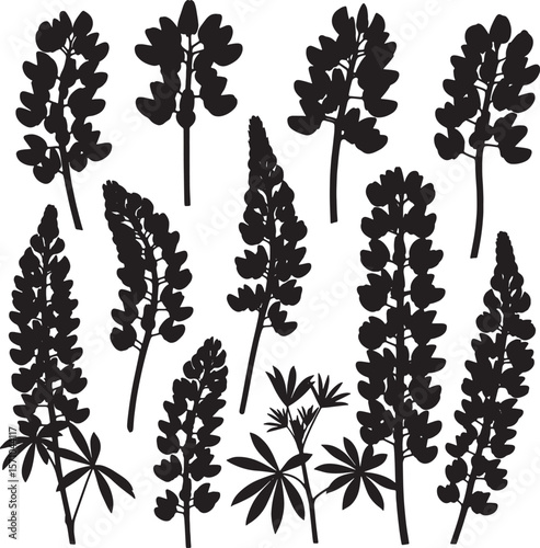 Collection of various black lupine flower silhouettes, showcasing tall spires and distinctive palmate leaves, ideal for botanical illustrations, garden designs, and floral patterns