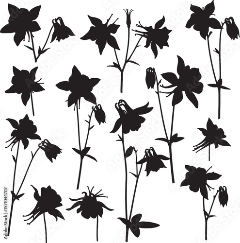 Collection of various columbine flower and bud silhouettes with delicate petals and stems, perfect for botanical illustrations, natural designs, floral patterns, and garden-themed decorative elements