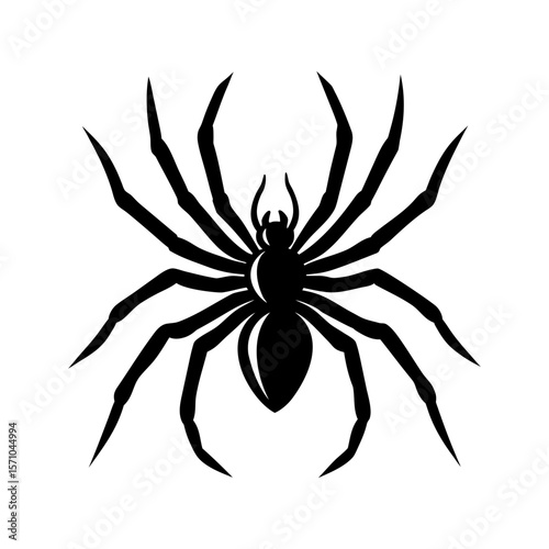 Spider clipart on white background vector illustration